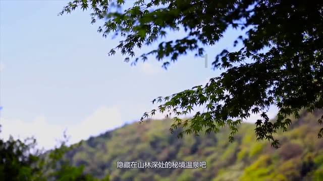 天蝎座:五色目盲,大道至简,等闲为雨复为晴,玄空一点元青青